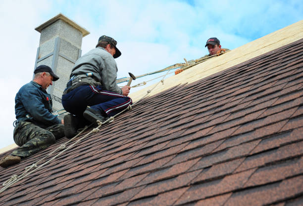 Best Residential Roofing Contractor  in Zionsville, IN